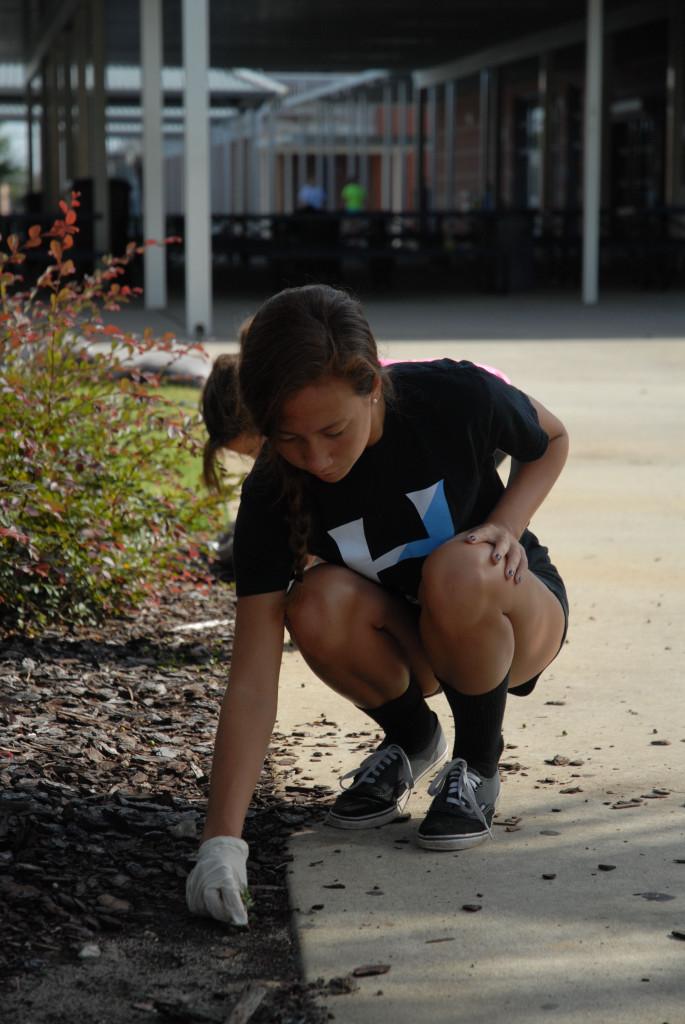 Clubs, sports participate in campus clean-up