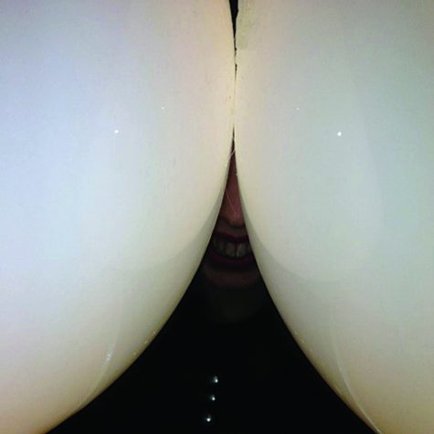 death-grips-bottomless-pit-album-cover