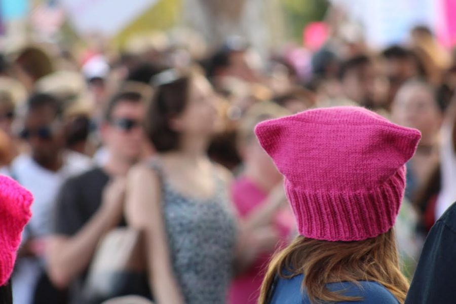 A participant of the Womens March demonstration at Lake Eola sports one of the infamous pussyhats.