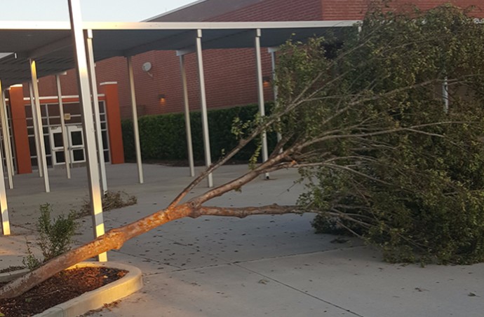 Hurricane Irma toppled three trees on campus, including one near the main entrance of the school. The fallen trees were removed before classes resumed.