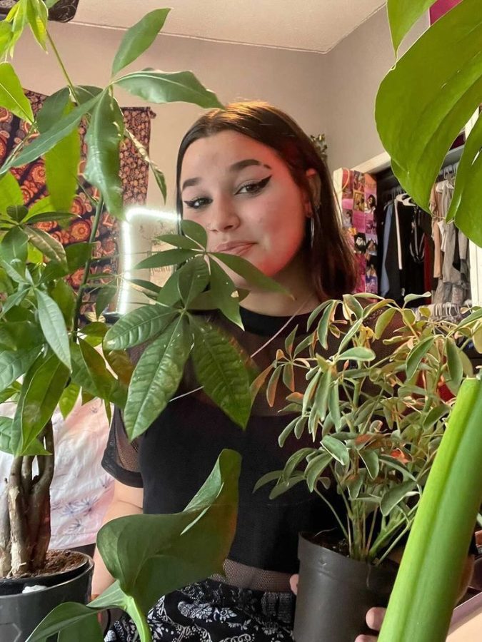 Katie Pollack displays her collection of plants containing  he monstera, moondrop plant, and money tree.