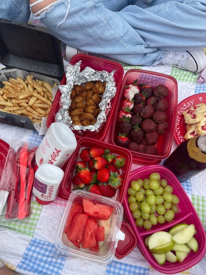 Sophomore Alexis Butler brought Oreo truffles to their picnic, while her friends Nguyen  and Register brought in other snacks like chocolate covered strawberries and fruits.