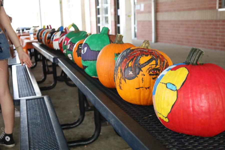All the pumpkins from the Pumpkin Painting Palooza lined up on a table. All the participants voted for their favorite pumpkin in the lineup, without being able to vote for their own.