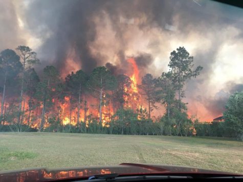 The Sterling Creek fire burns through vegetation close to Live Oak Reserve. The blaze was contained at 2 a.m.  the next morning.