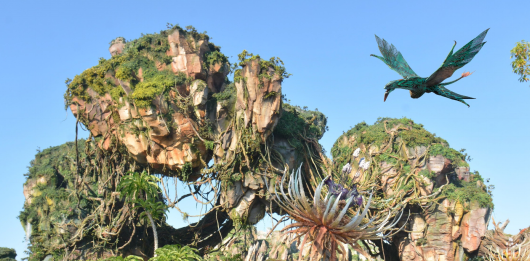 A  virtual banshee soars above the floating mountains of Pandora. Disney photographers around the land were available to capture memories and add small bits of magic, like the Banshee pictured.