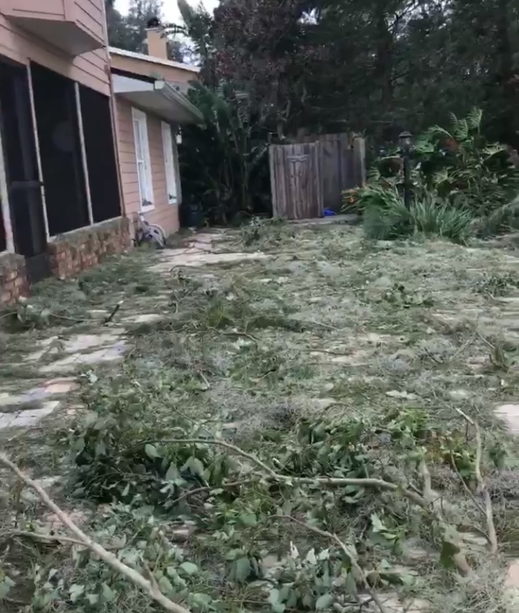 Junior Morgan Thornleys backyard. After the hurricane, Thornley and her family fixed the hurricane damage by cleaning-up their yard and covered the roof with a temporary tarp. 