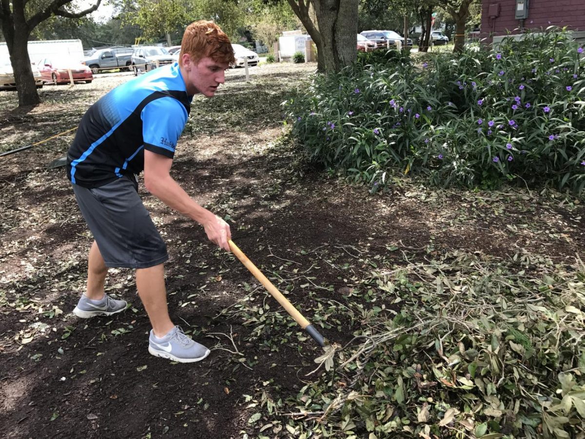 Sophomore DJ McCunney cleans up fallen tree branches in Orange County Academy. Along with three other friends, McCunney decided to help out the community after seeing all the damage caused by Irma. 