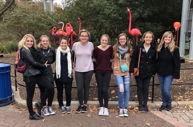 Some band members pose in front of flamingos for a picture. They traveled to D.C. for a parade.