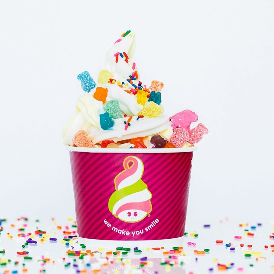 Menchies  is a popular frozen yogurt location that has more than 500 locations across the United States. 