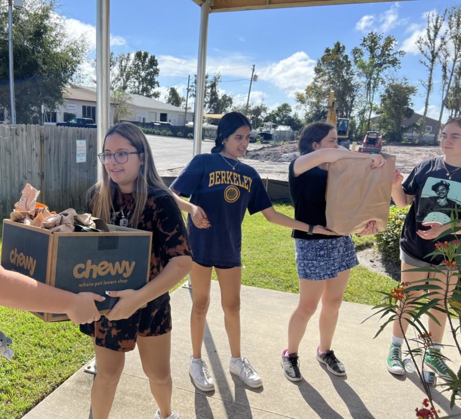 Spanish Honors Society members pass boxes and bags of food to fill up food pantry HOPE Helps shelves. SHS partnered with Jean Scott homes team to hold a food drive, collecting a total of 127 bags.