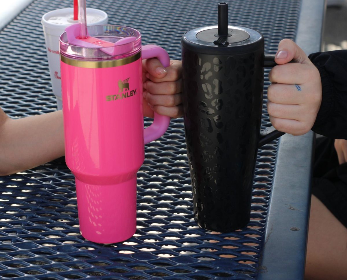 Junior Melanie Pick and friend show off their customized Stanley cups, which gained popularity in 2024.