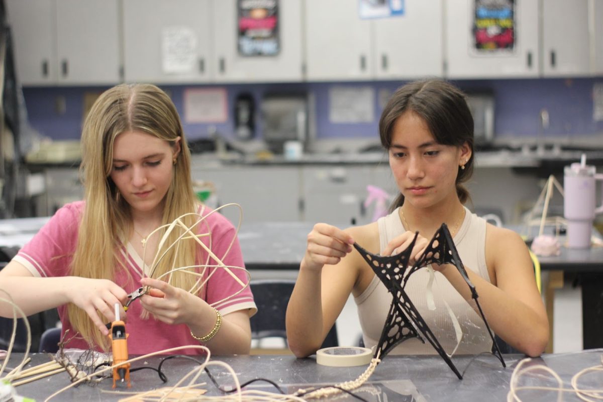 Sophomores Lucia Hao and Giana Feo work on their weekly abstract structure for AP 3D Art. Each assignment gives students more practice and experience with 3D artworks.