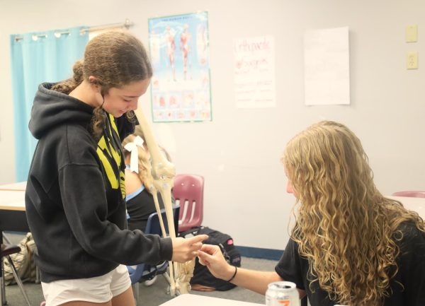 Freshmen Katherine Roth and Briella Daly examine a skeleton leg. They will be continuing to learn their anatomical terms for the class.