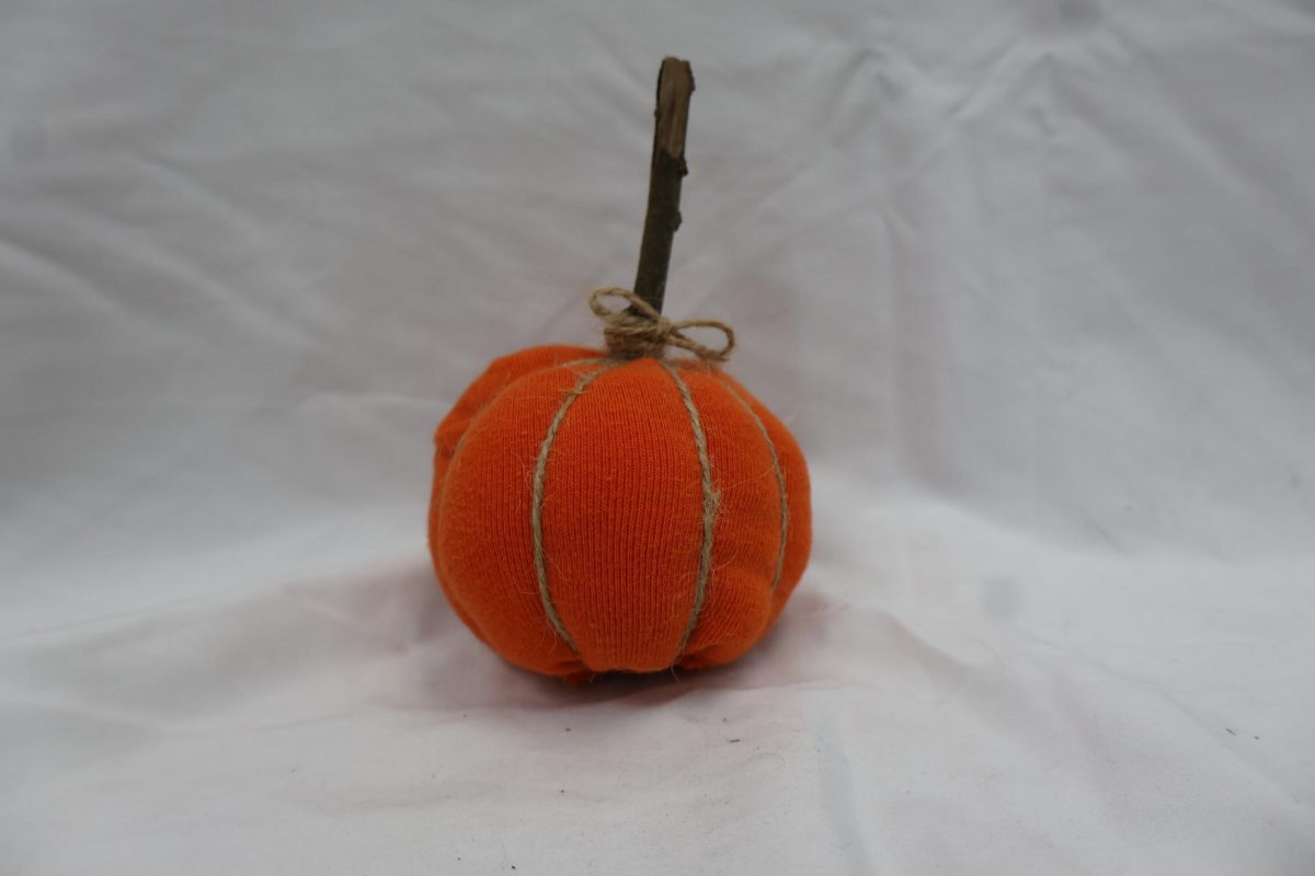 A decorated pumpkin with a bow and stem.