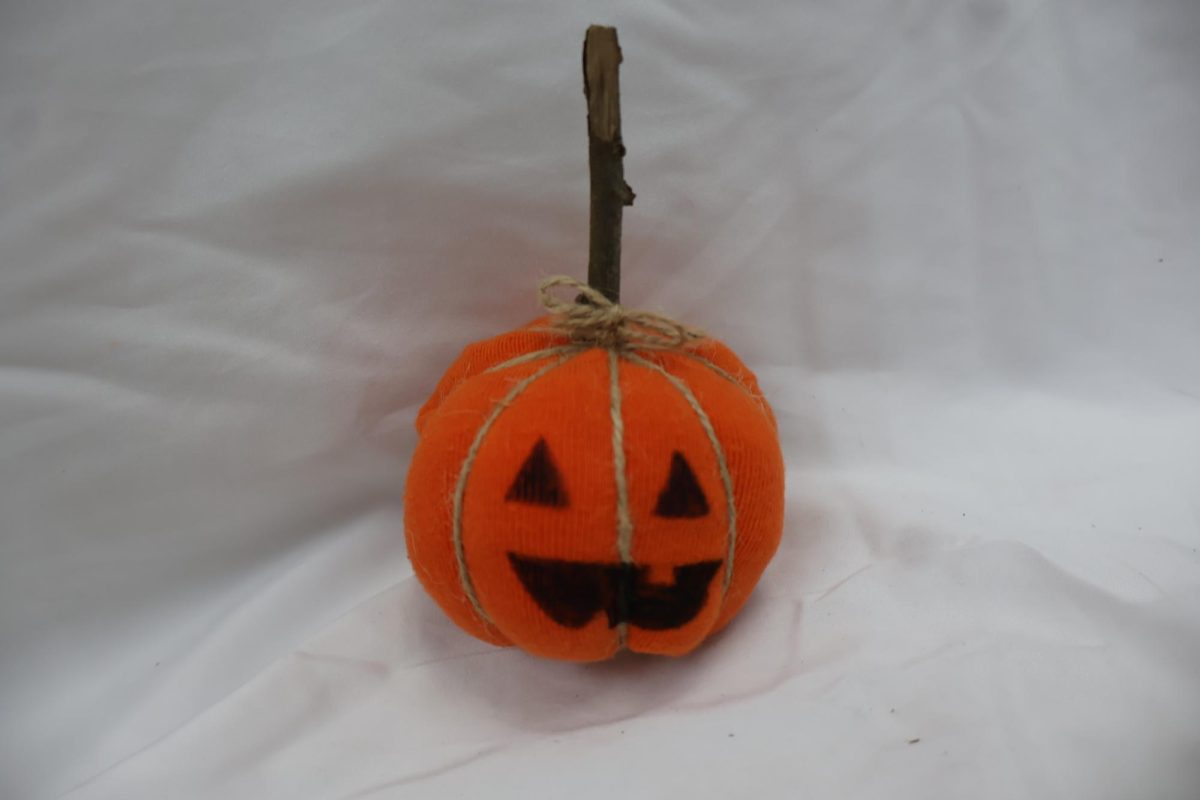 Craft Corner: Upcycled Pumpkins