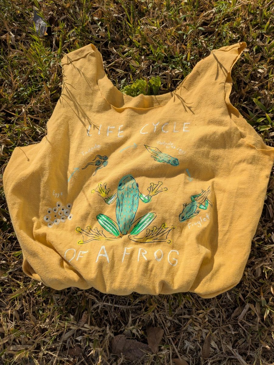 Sustainable reusable bags are a no-brainer replacement for plastic. Made with a few simple steps, they can keep plastics and pollution out of the environment.